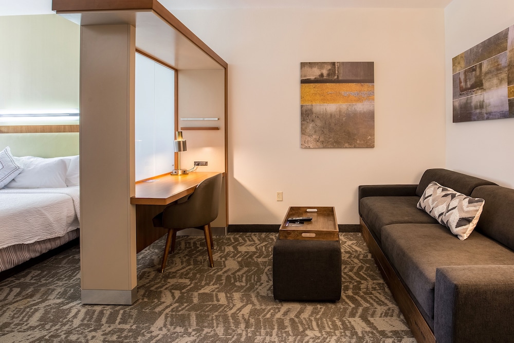 Suite, 1 King Bed with Sofa bed (Hearing Accessible) - Photo 1