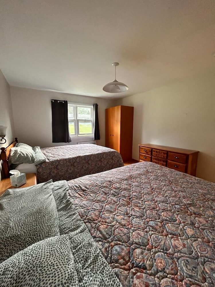 Suite, 1 Bedroom photo 1