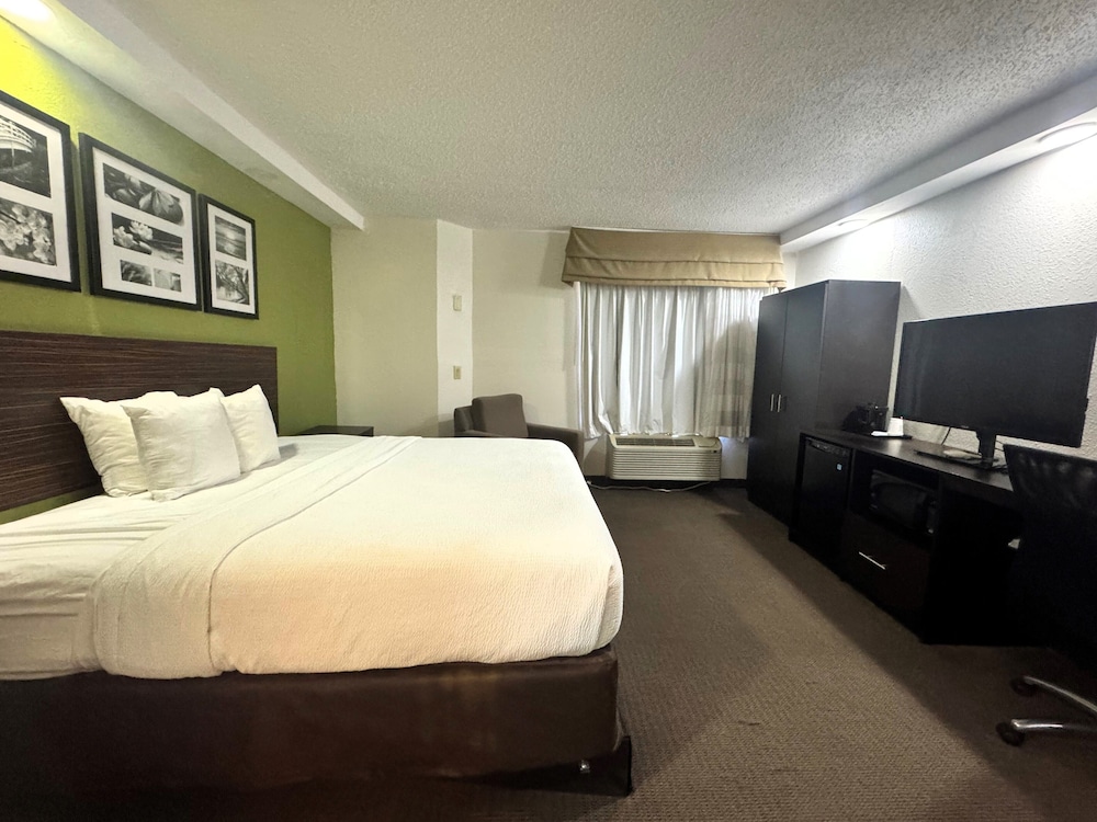 Room, 1 King Bed, Non Smoking photo 3
