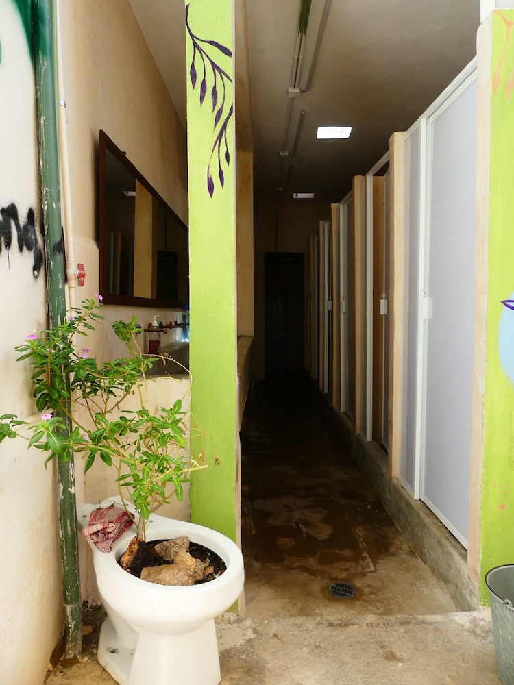 Standard Shared Dormitory, Mixed Dorm photo 3