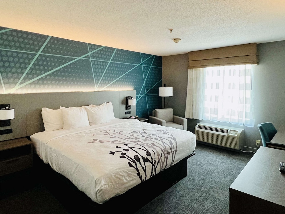 Room, 1 King Bed, Accessible, Non Smoking photo 1