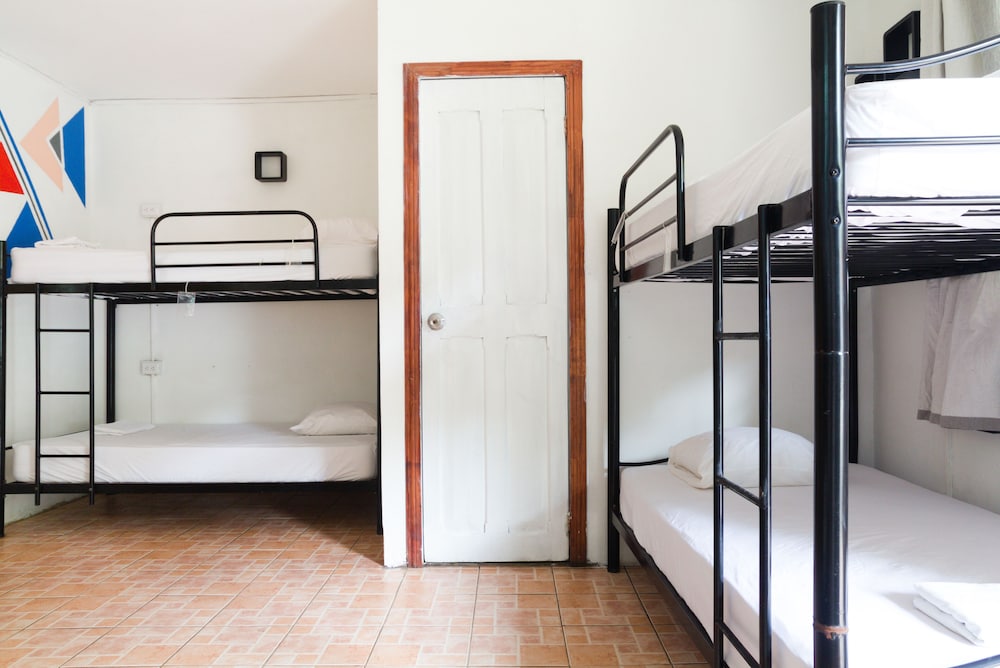 Bed In 6-Bed Dormitory Room