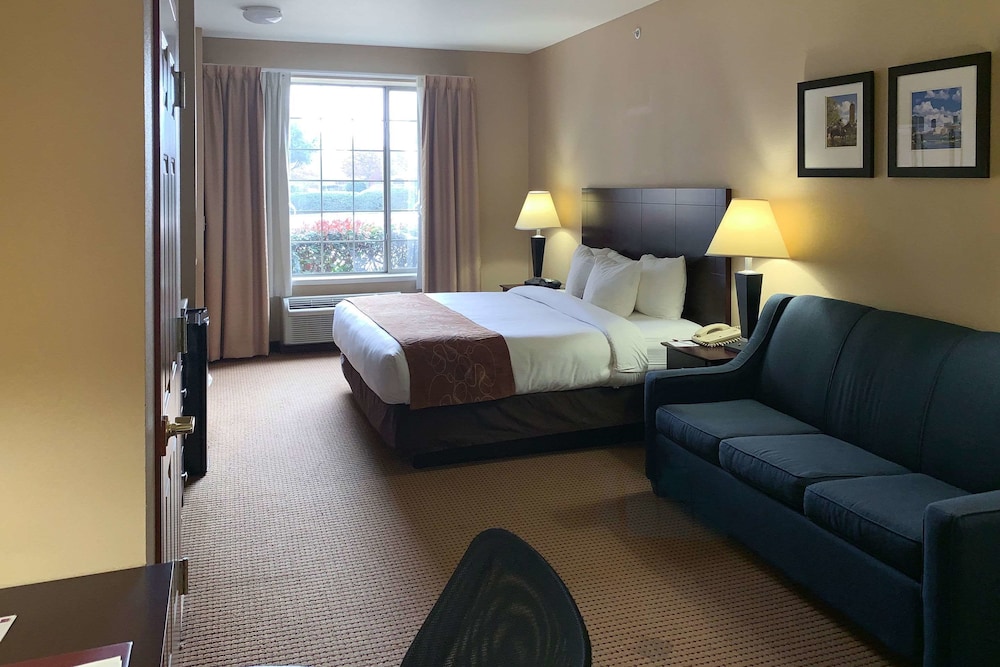Suite, Accessible, Non Smoking - Photo 3