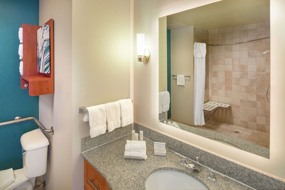 Studio, 1 King Bed, Accessible (Mobility & Hearing, Roll-in Shower) - Photo 1