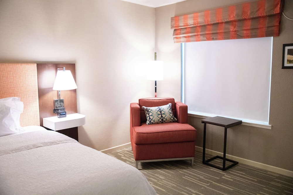 Room, 1 King Bed, Accessible, Non Smoking photo 1