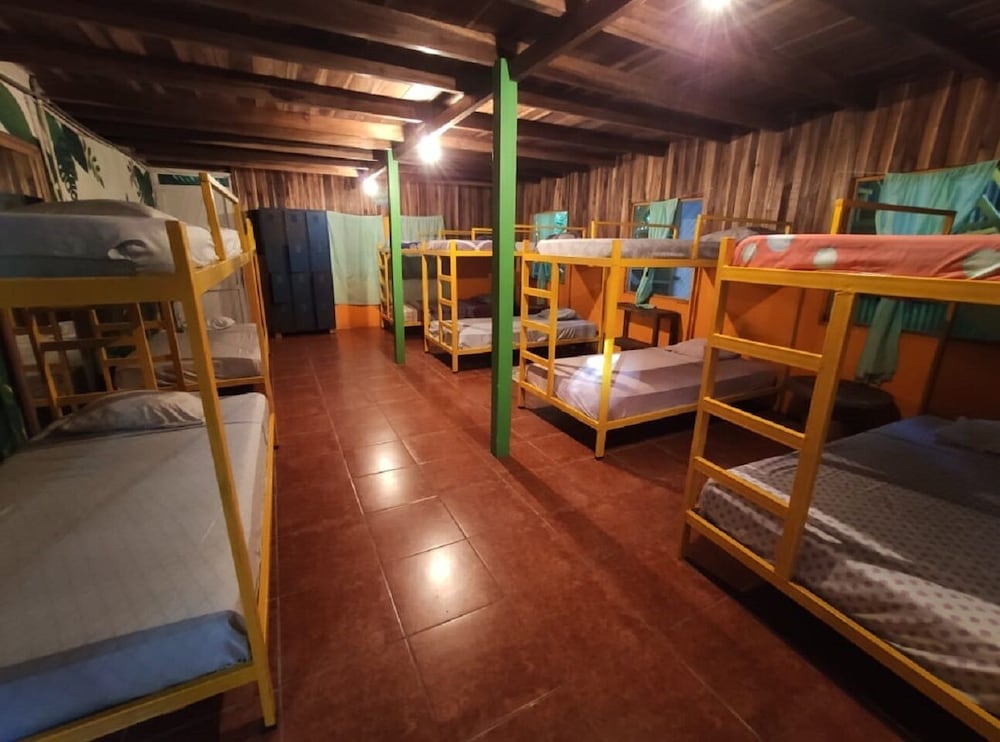 Basic Shared Dormitory