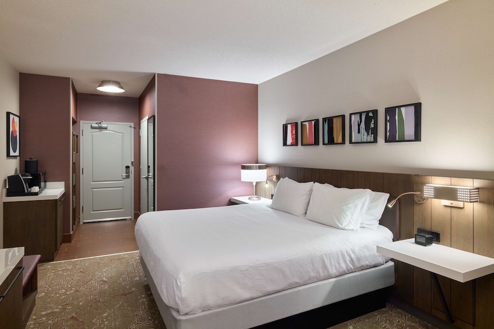 One king bed evolution room photo 1