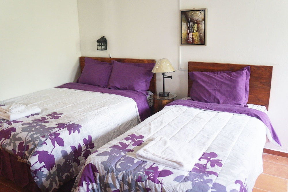 Triple Room photo 1