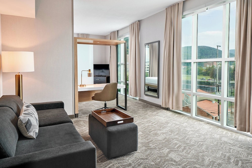 Suite, 1 Bedroom, Mountain View