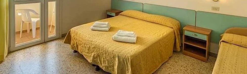 Basic Double or Twin Room