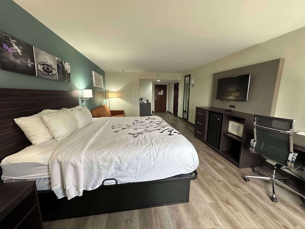 1 King Bed, Business Room, Efficiency, Suite, Nonsmoking - Photo 5