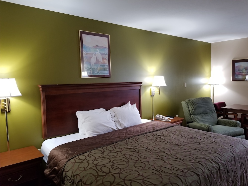 Standard Single Room, 1 King Bed photo 3