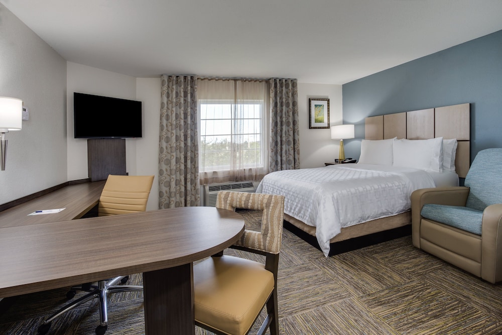 Studio Suite, 1 Queen Bed - Photo 2