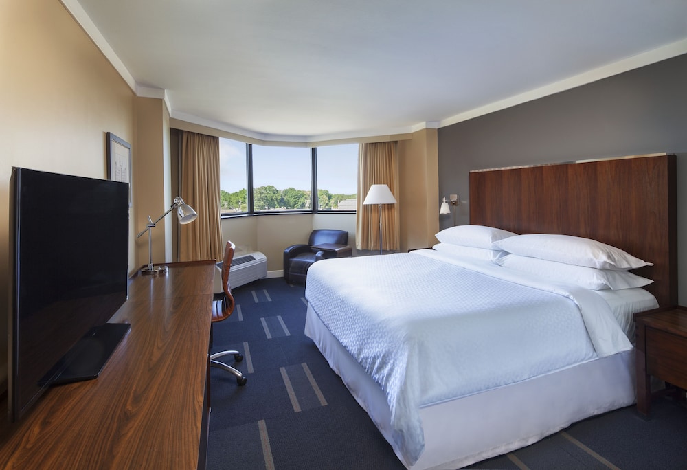 Deluxe Room, 1 King Bed with Sofa bed - Photo 3