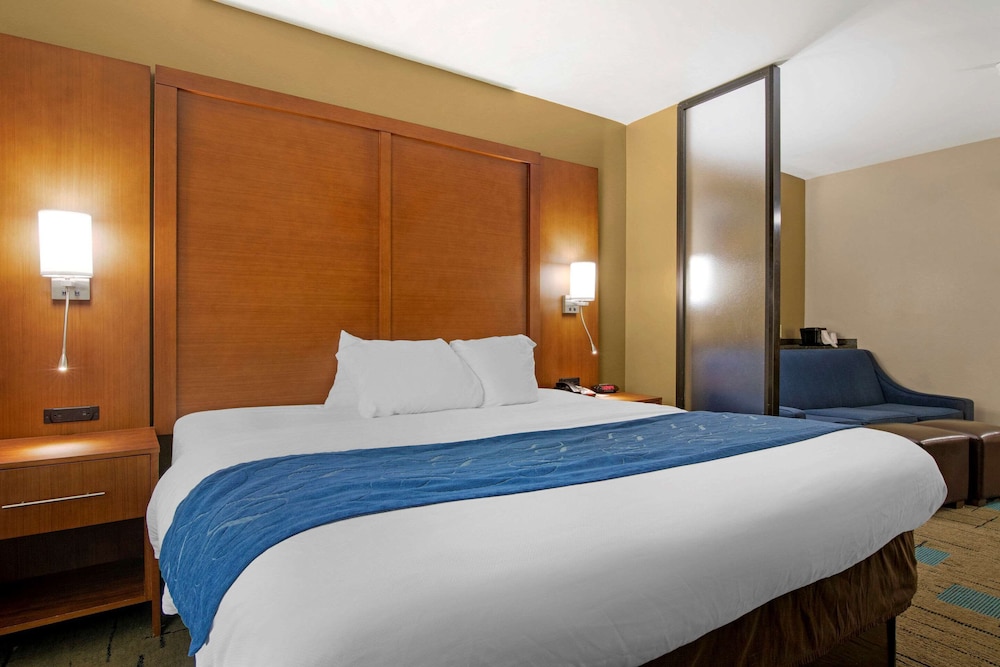 Suite, 1 King Bed with Sofa bed, Non Smoking, Jetted Tub (Upgrade) - Photo 4