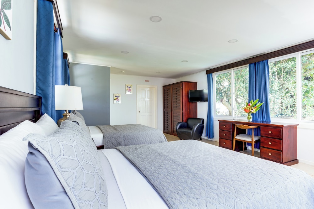 Panoramic Apartment, 2 Double Beds, Non Smoking, Kitchenette photo 2