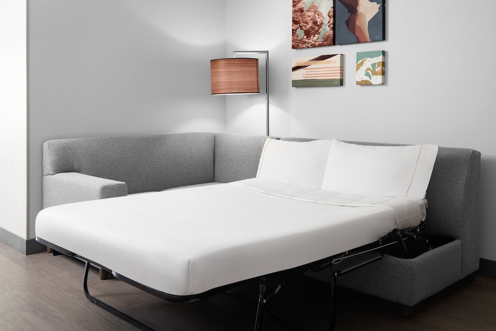 Studio, Multiple Beds - Photo 9