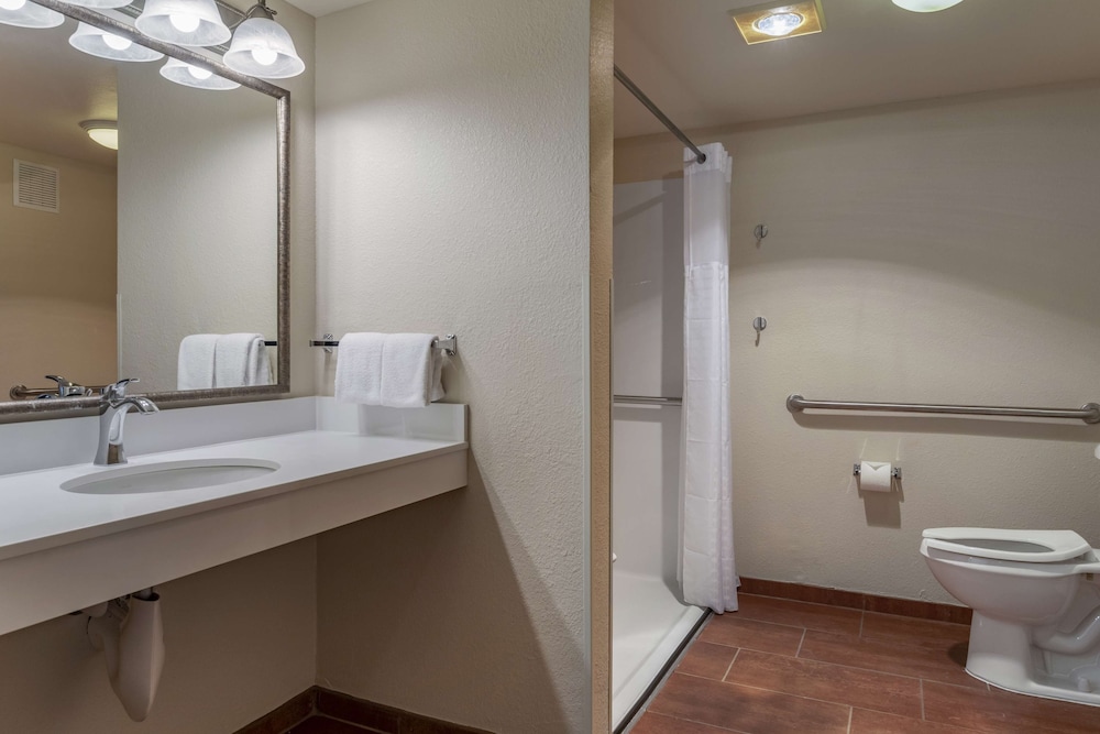 Standard Room, 1 King Bed, Accessible (View) photo 3