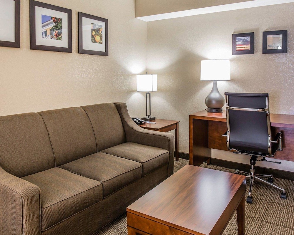 Suite, 1 King Bed with Sofa bed, Non Smoking photo 2