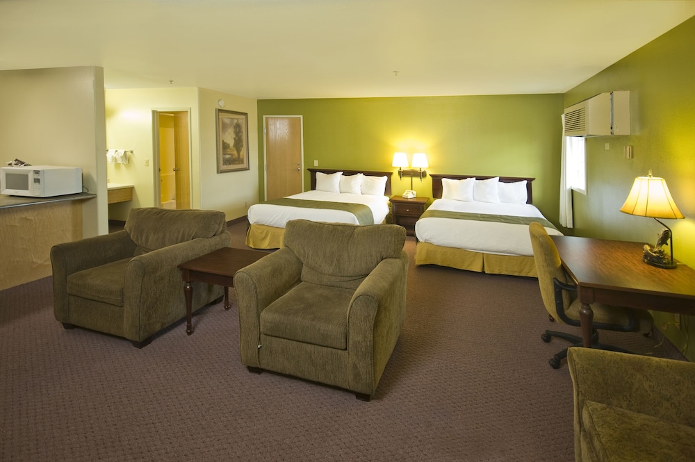 Studio Suite, Multiple Beds, Non Smoking - Photo 2