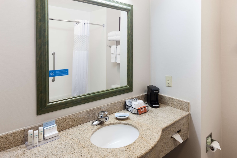Room, 1 King Bed, Accessible, Non Smoking (Roll-in Shower) - Photo 9