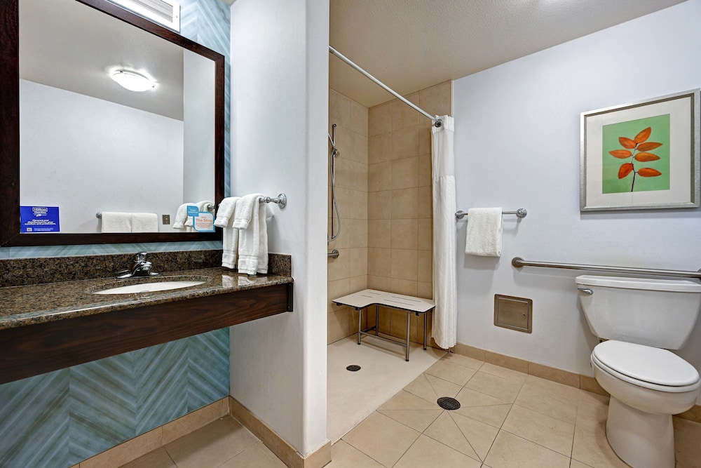 Room, 1 King Bed, Accessible photo 3