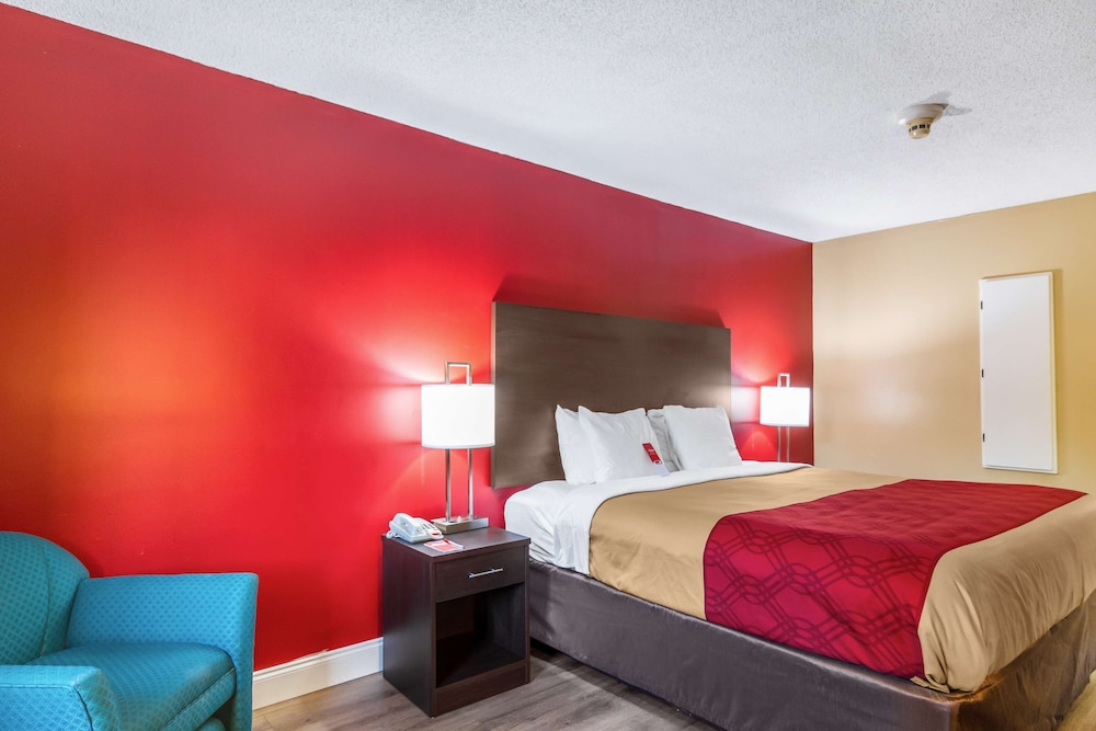 Standard Room, 1 King Bed, Non Smoking, Refrigerator & Microwave (2nd Floor) photo 3