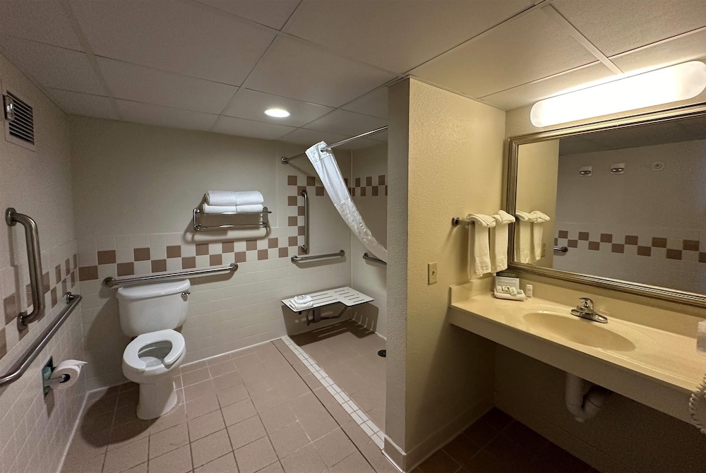 Suite, 1 King Bed, Accessible, Non Smoking (One-Bedroom) - Photo 6
