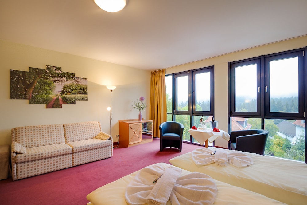 Studio, 1 Double Bed, Non Smoking, Mountain View photo 2