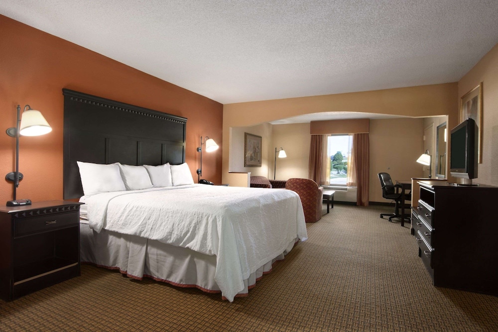Deluxe Studio Suite, 1 King Bed, Non Smoking - Photo 1