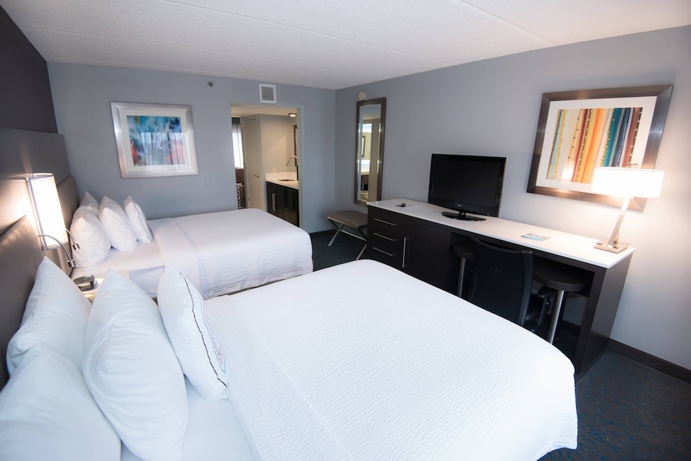 Studio, Multiple Beds - Photo 1