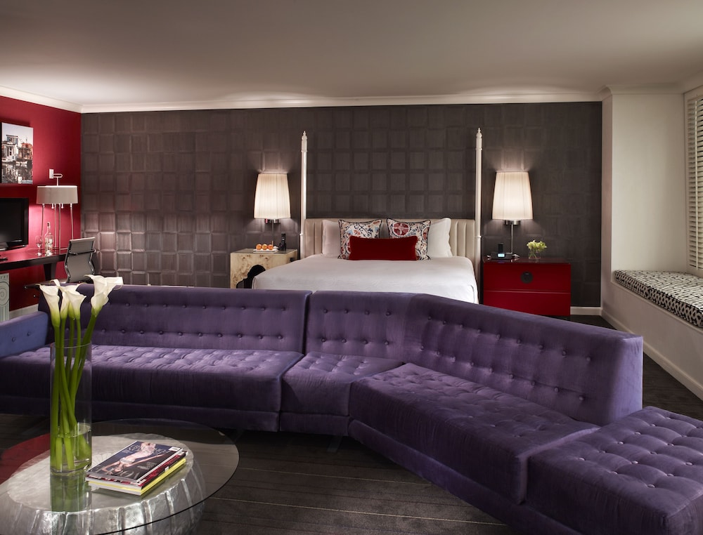 Suite (Ambassador) photo 3