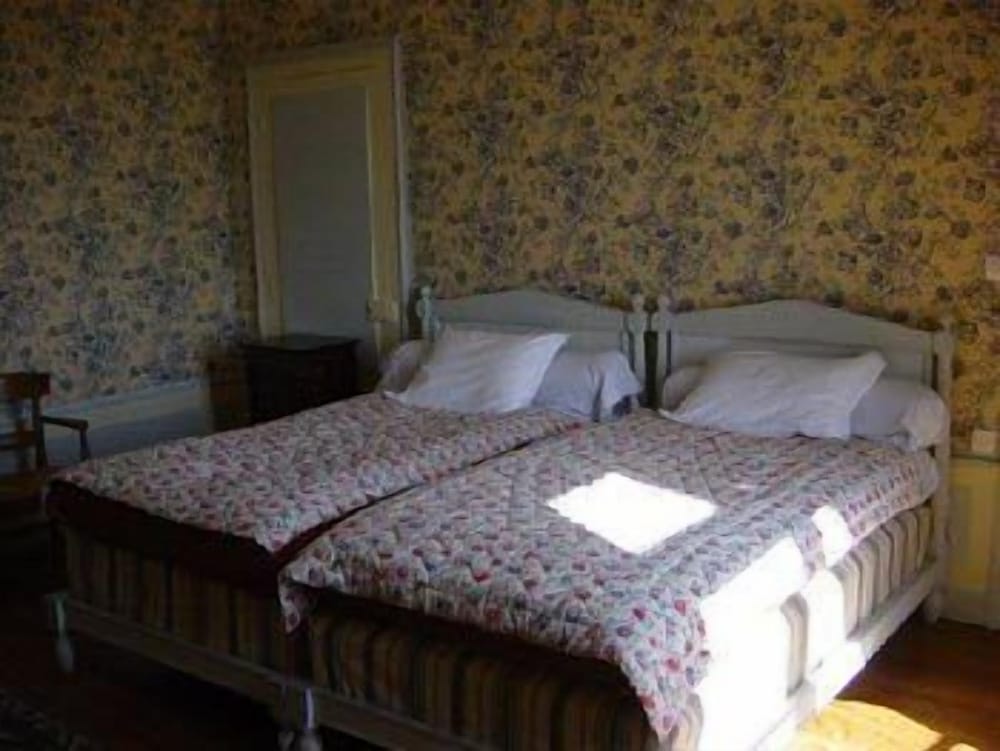 Suite - Photo 1