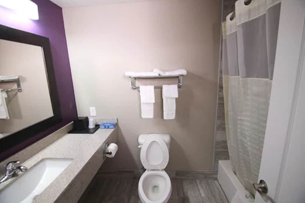 Suite, 1 King Bed photo 2
