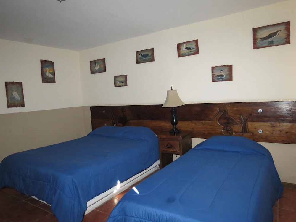 Classic Room - Photo 6