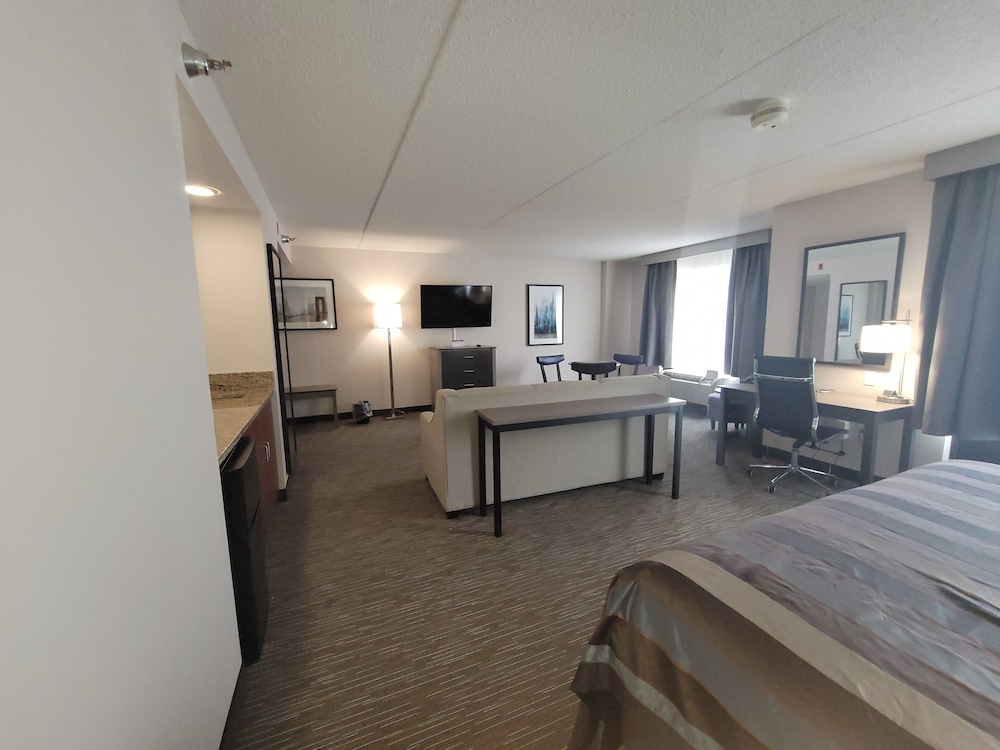 Suite, 1 King Bed - Photo 8