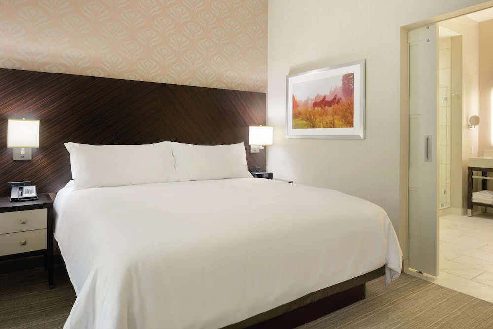 Room, 1 King Bed, Accessible, Non Smoking photo 2