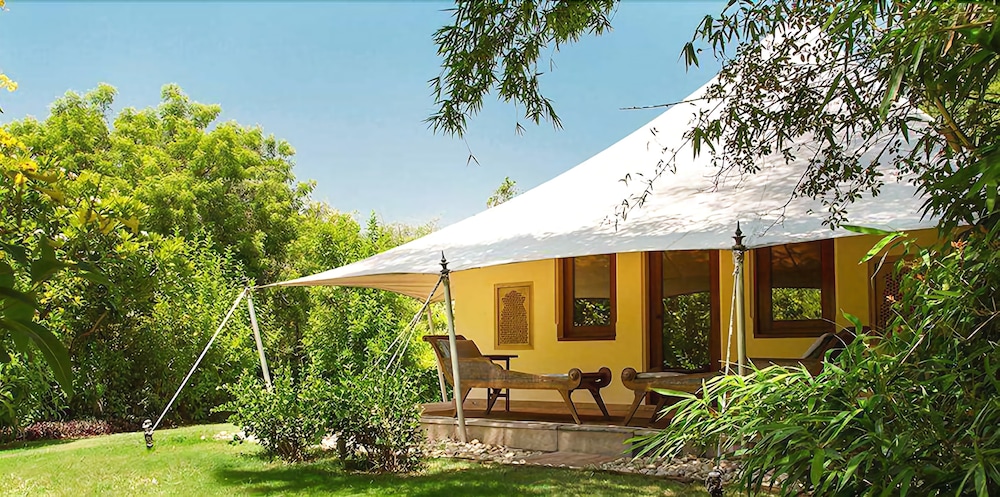 Luxury Tent, 1 King Bed photo 3