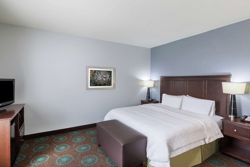 Room, 1 King Bed, Accessible - Photo 2