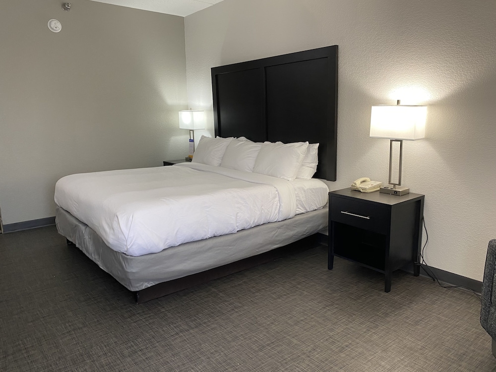 Deluxe Suite, 1 King Bed with Sofa bed, Non Smoking - Photo 6
