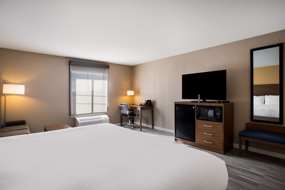 Standard Room, 1 King Bed, Non Smoking, Refrigerator & Microwave (with Sofabed) - Photo 2