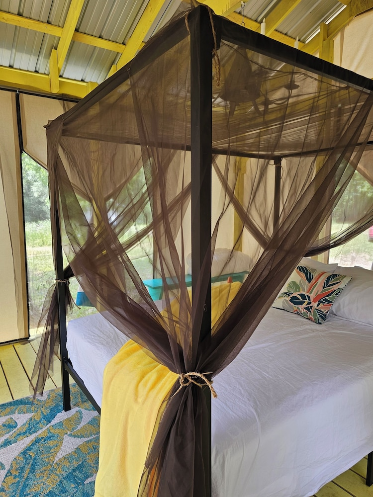 Luxury Tent photo 1