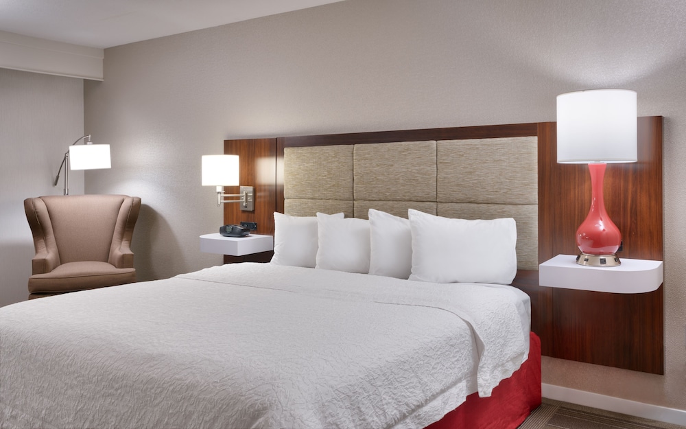 Room, 1 King Bed, Accessible, Non Smoking photo 2