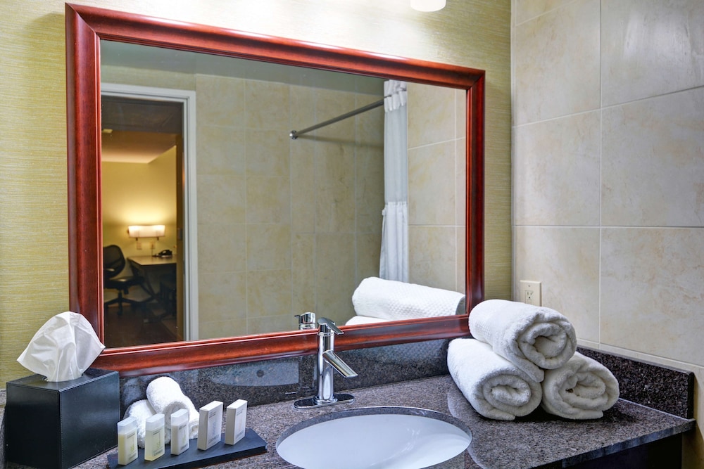 King Executive Suite photo 2