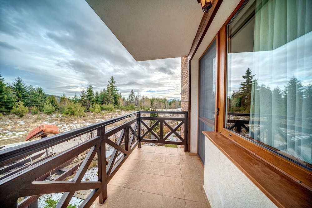 Apartment, 1 Bedroom, Fireplace, Mountain View photo 3