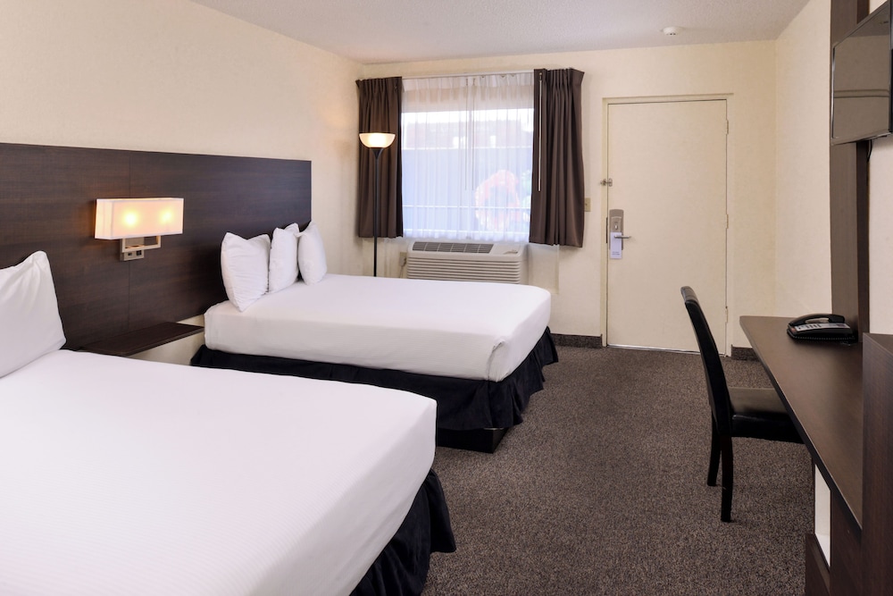 Standard Double Room (Full) - Photo 4