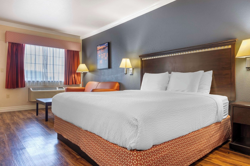 Standard Room, 1 King Bed, Accessible, Ground Floor - Photo 3