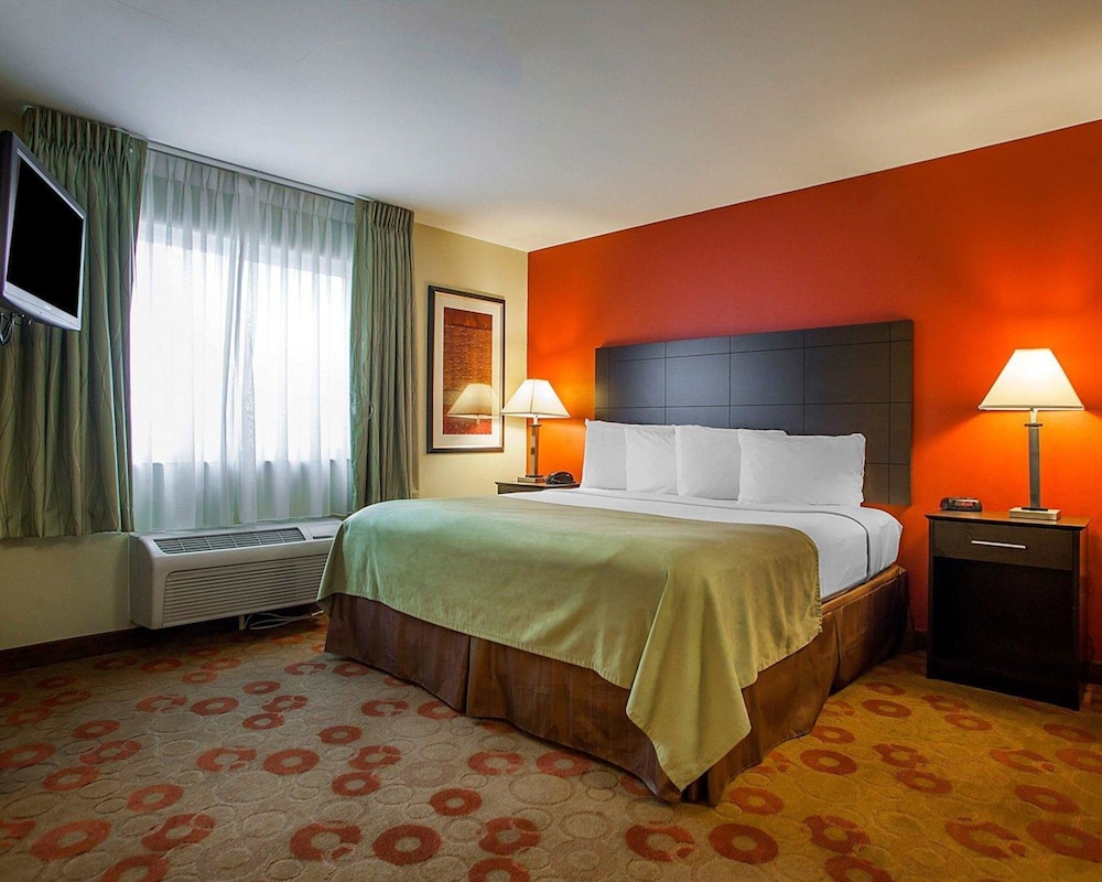 Room, 1 King Bed, Accessible, Non Smoking (Efficiency) photo 1