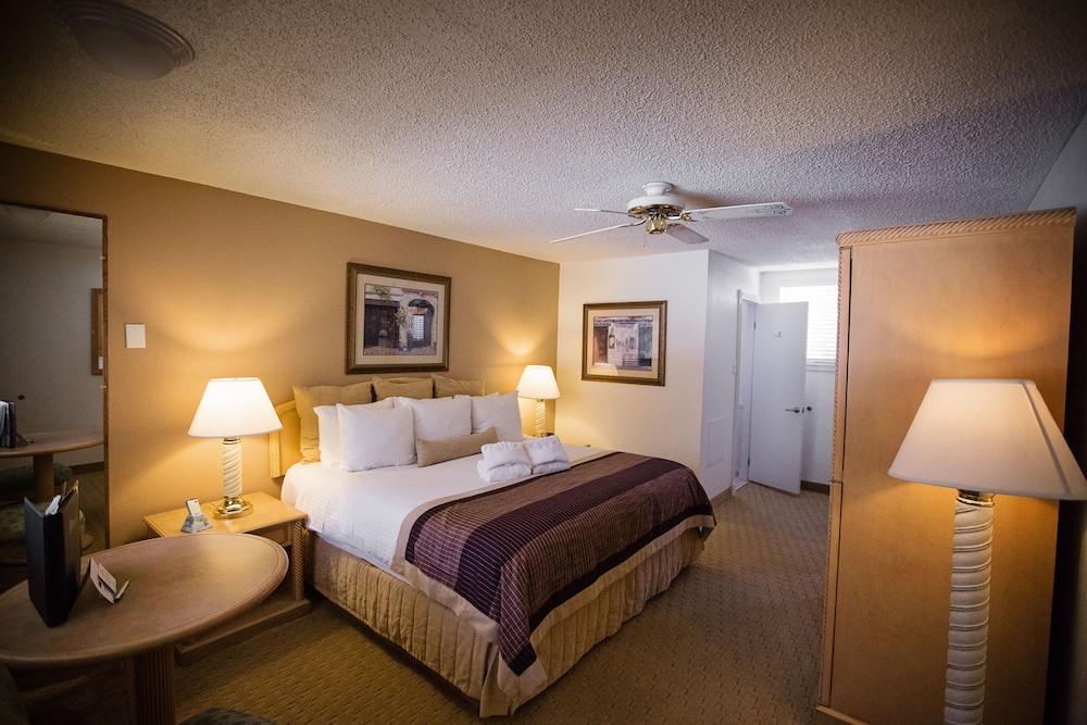 Standard Room, 1 King Bed, Mountain View photo 2