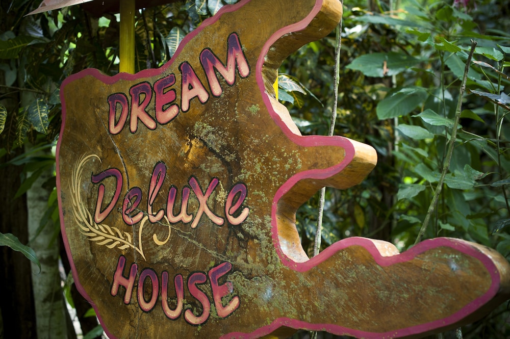Dream Deluxe House, One Bedroom, Full Kitchen photo 3